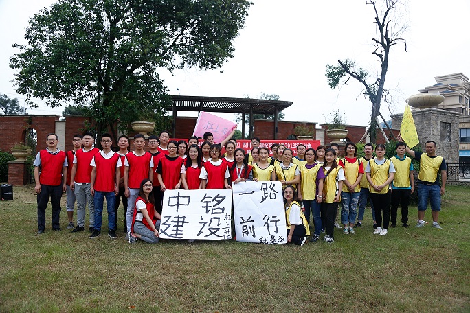 團隊協(xié)作展活力，凝心聚力鑄輝煌